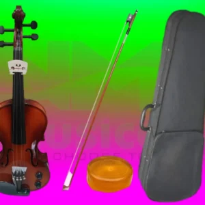 Rampur Electric violin - 7000Rs