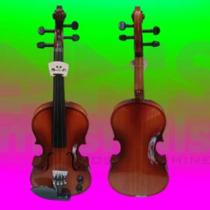 Rampur Semi-acoustic Violin view - 7000 Musical Instrument from NMS Musicals
