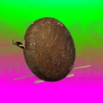 Parai Musical Instrument from NMS Musicals