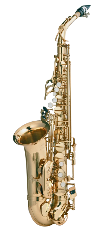 NMS Musicals - all types of musical instruments available