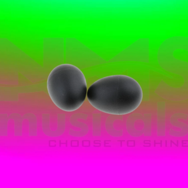 Eggshakers - Black Colour Musical Instrument from NMS Musicals