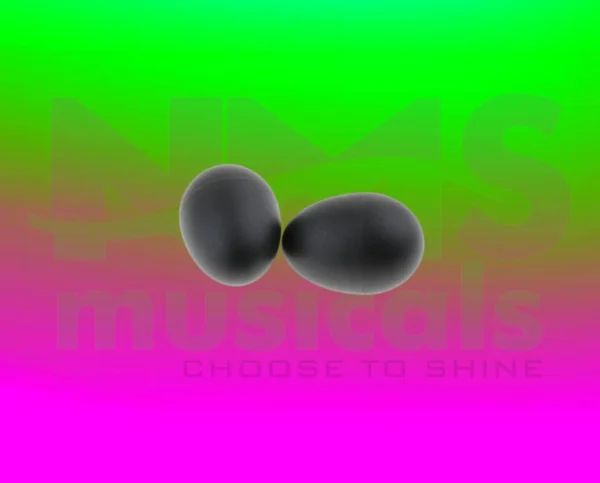 Eggshakers - Black Colour
