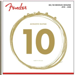 Fender Acoustic 10-48 Strings Musical Instrument from NMS Musicals