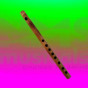 G# scale - 8 Holes Musical Instrument from NMS Musicals