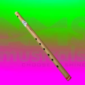 C# scale - 6 holes Musical Instrument from NMS Musicals