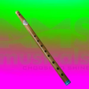 C# Scale 8 holes Musical Instrument from NMS Musicals