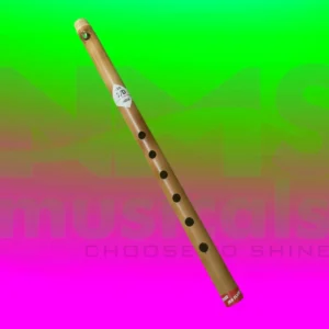 D scale 6 holes Musical Instrument from NMS Musicals