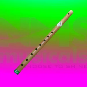 D Scale 8 holes Musical Instrument from NMS Musicals