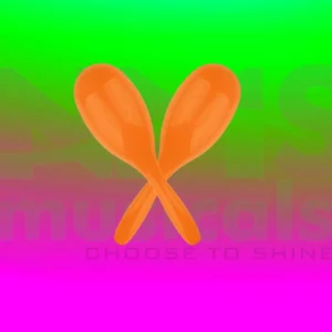 Fiber Maracas Musical Instrument from NMS Musicals