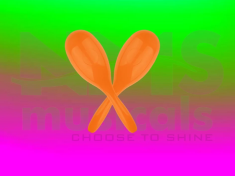 Fiber Maracas Musical Instrument from NMS Musicals