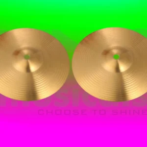 Cymbals 14 Inch Musical Instrument from NMS Musicals