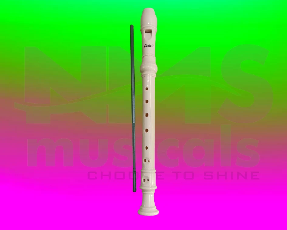 Recorder view