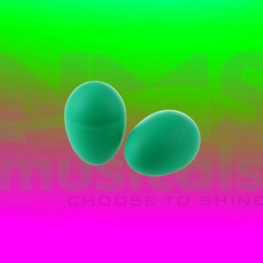 Eggshakers - Green Colour Musical Instrument from NMS Musicals