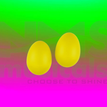 Eggshaker- Yellow Colour Musical Instrument from NMS Musicals