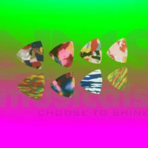 10Rs Guitar Assorted Picks Musical Instrument from NMS Musicals