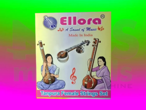 Ellora Female String set Musical Instrument from NMS Musicals
