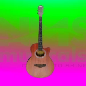 Richtone Guitar Musical Instrument from NMS Musicals