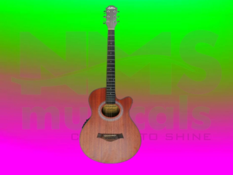 Richtone Guitar Musical Instrument from NMS Musicals