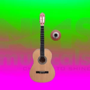 Techno Classical Guitar Musical Instrument from NMS Musicals