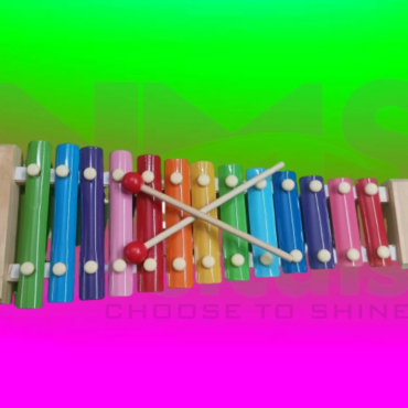 Xylophone Musical Instrument from NMS Musicals