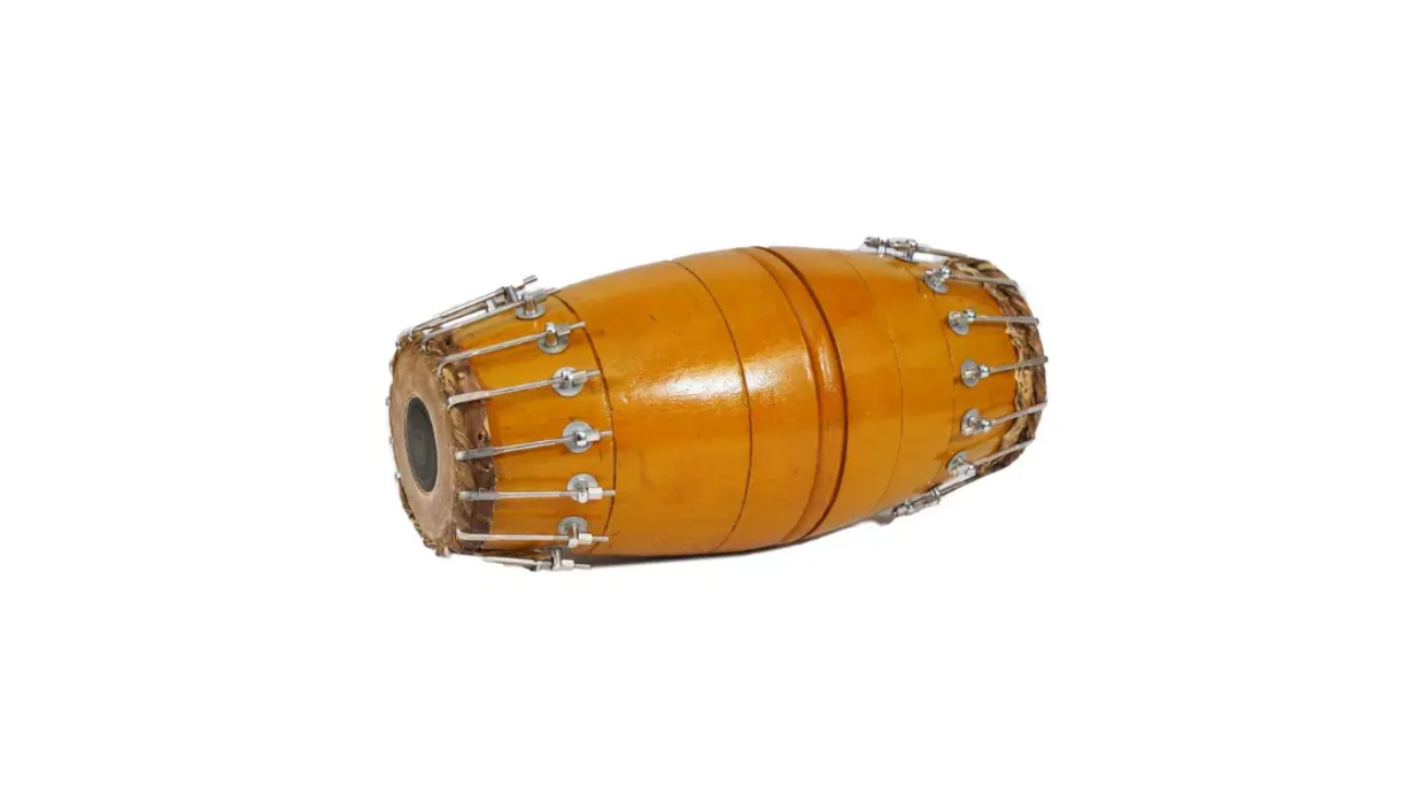 Basics of the Mridangam and How to Play