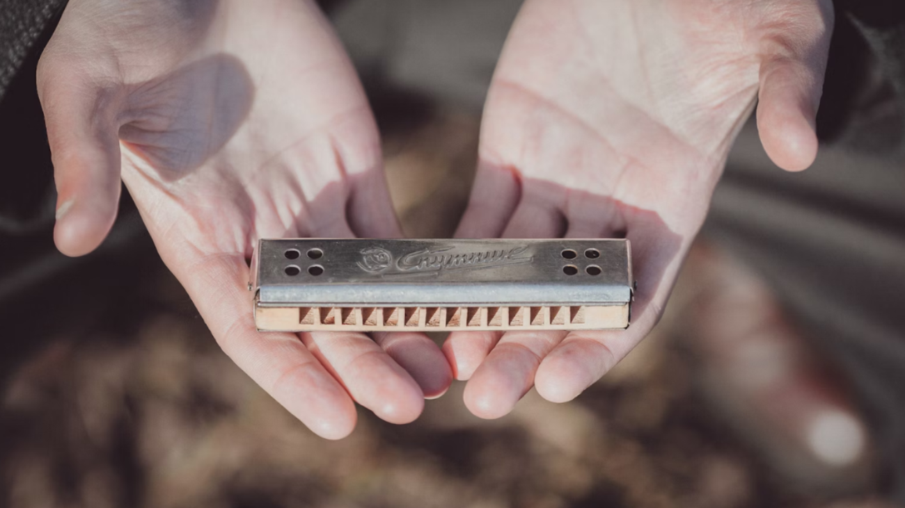 Beginner Harmonica Guide for Indians 2