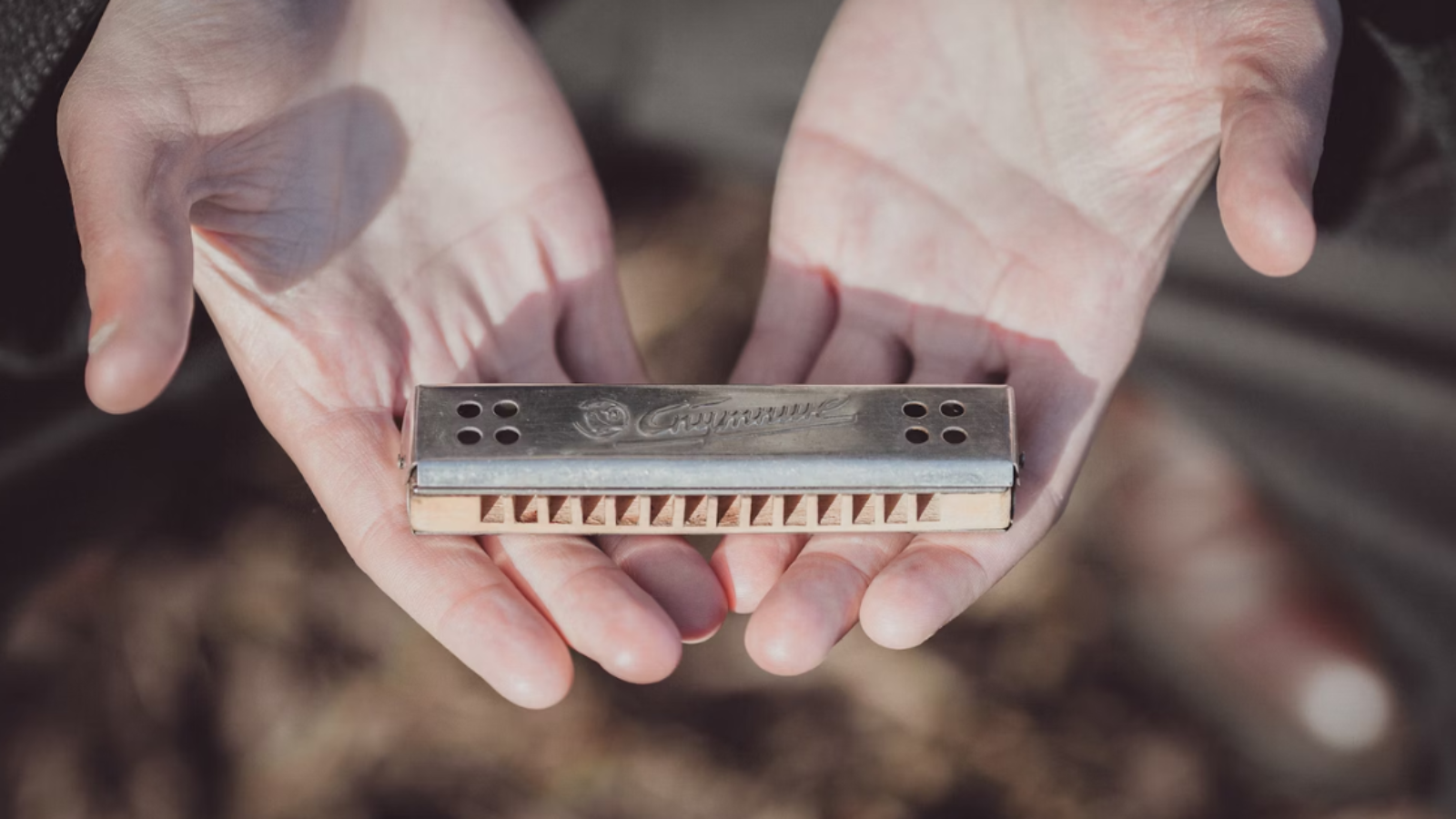 Beginner Harmonica Guide for Indians 2
