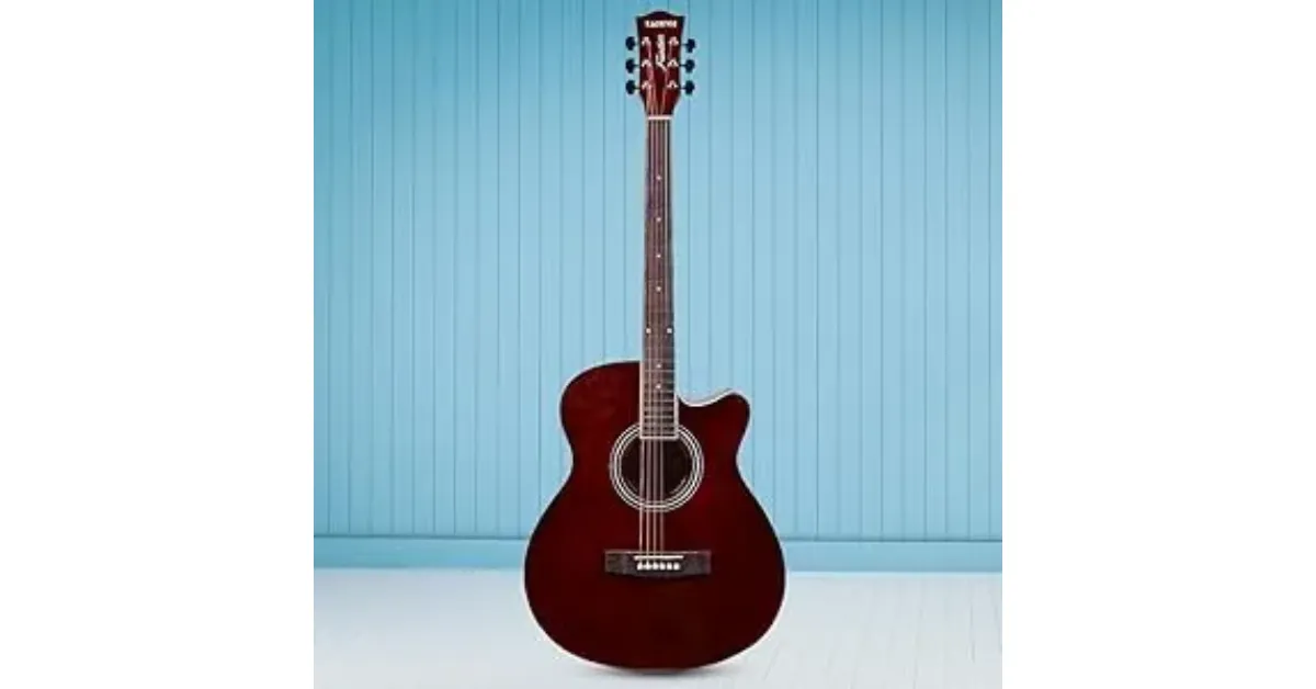 Best Acoustic Guitars for Blues Rock 2