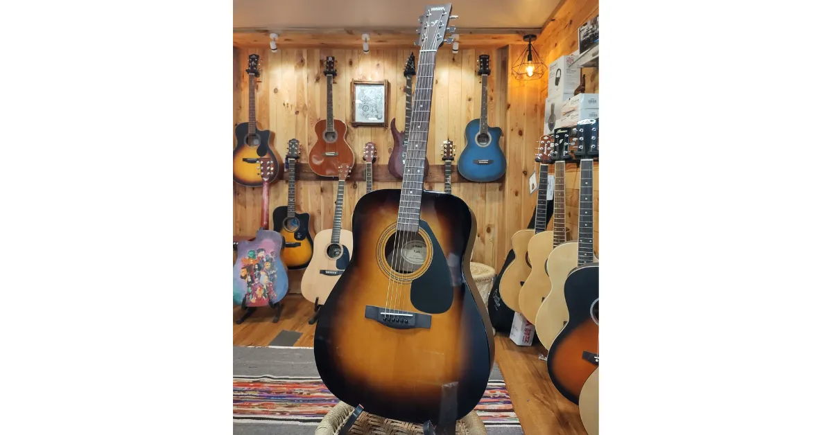 Best Acoustic Guitars for Blues Rock