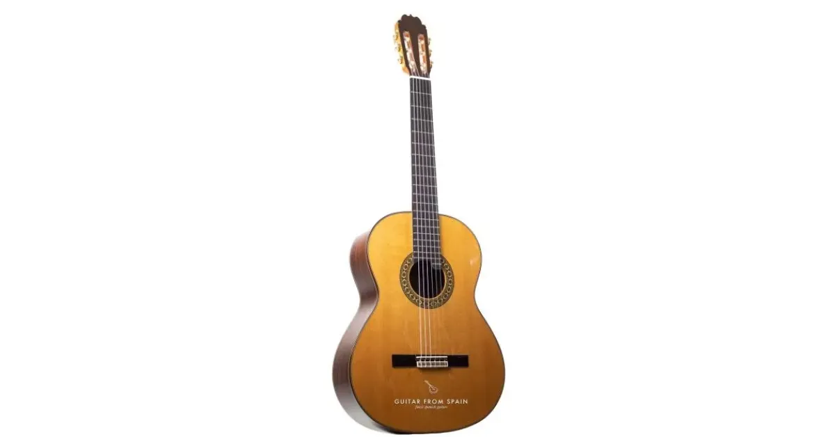 Best Acoustic Guitars for Blues Rock16