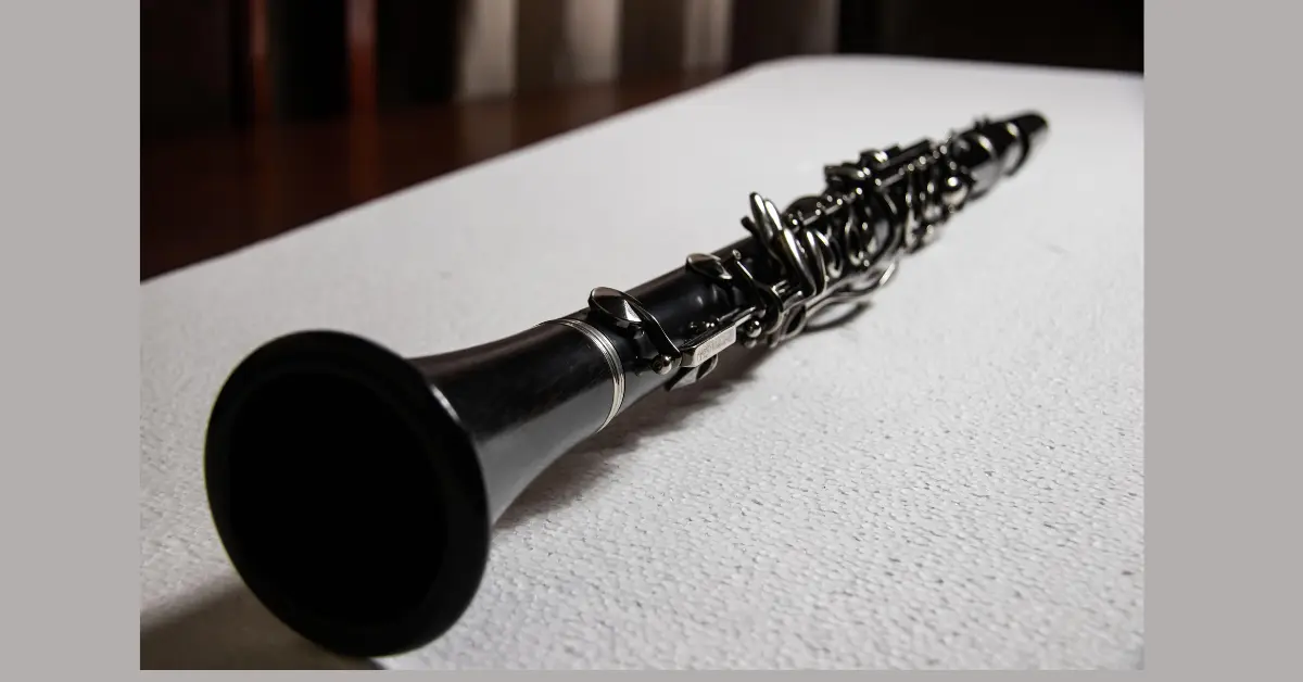 Best Beginner Friendly Woodwind Instruments