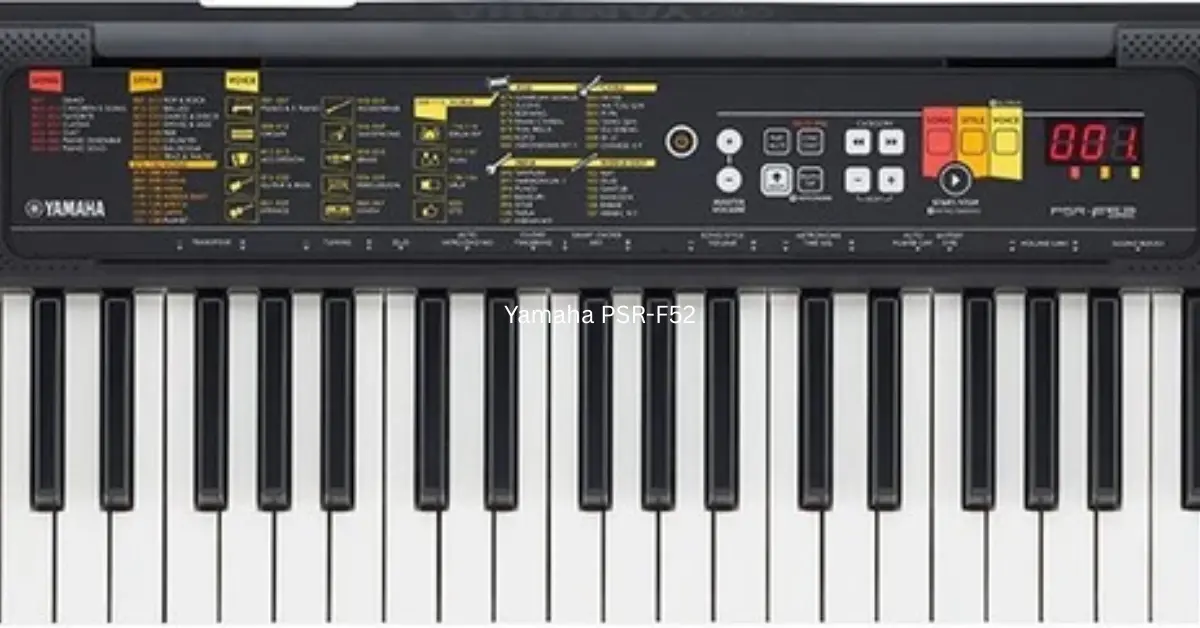 Best Electronic Keyboard for Beginners 4