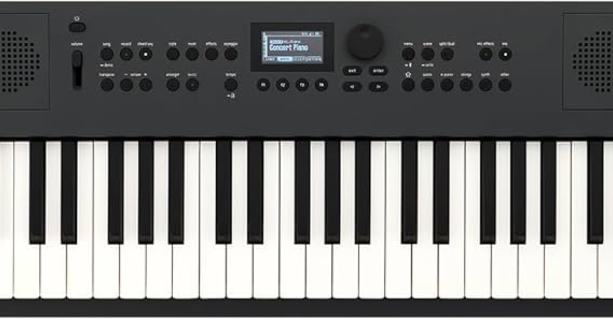 Best Electronic Keyboard for Beginners 6