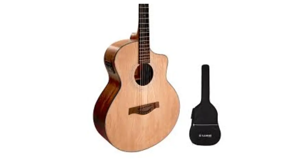 Best Guitar Brands in Chennai12