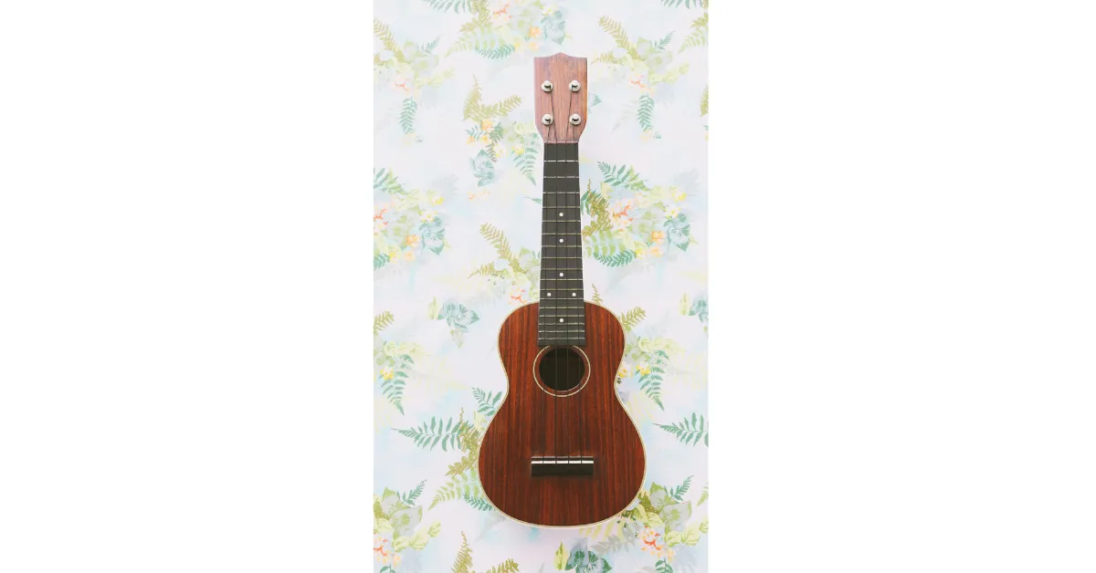 Best Musical Gifts for Partner 1