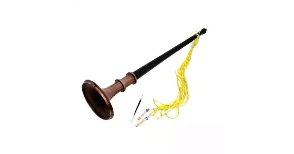 Best Wind Instruments for Beginners 6