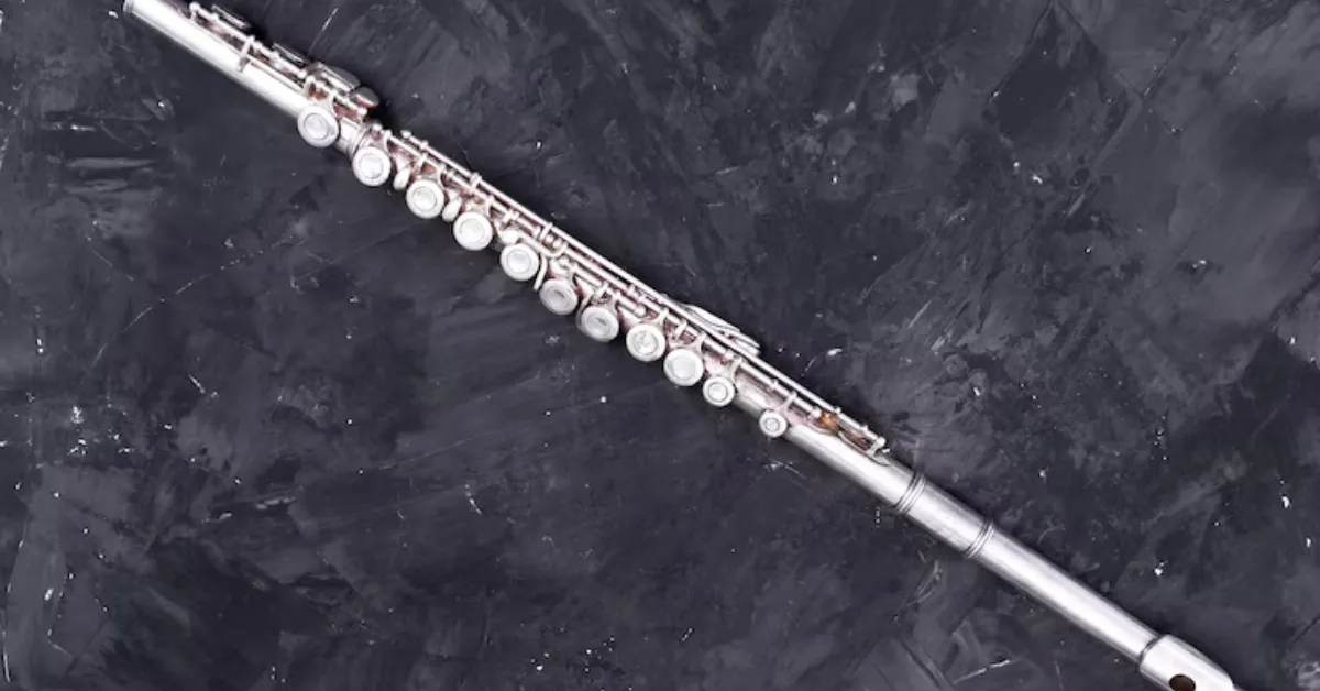 Best Wind Instruments for Beginners 8