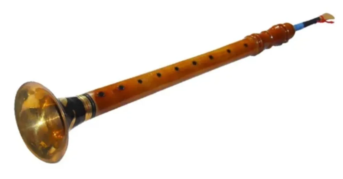 Best Wind Instruments for Students Chennai 1