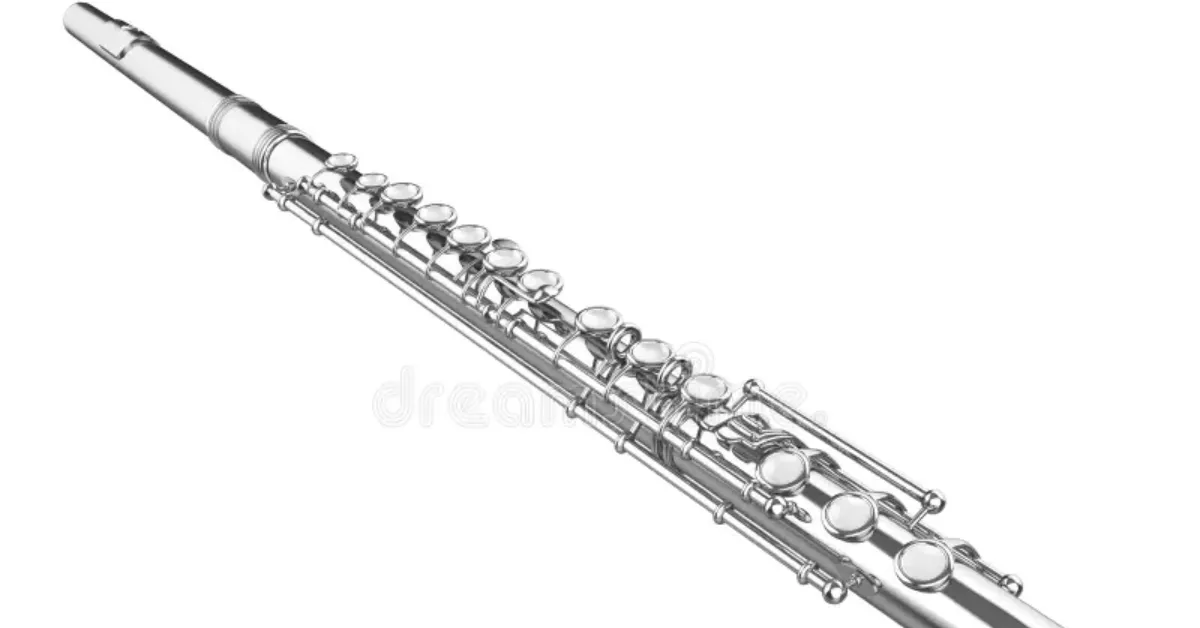 Best Wind Instruments for Students Chennai 5
