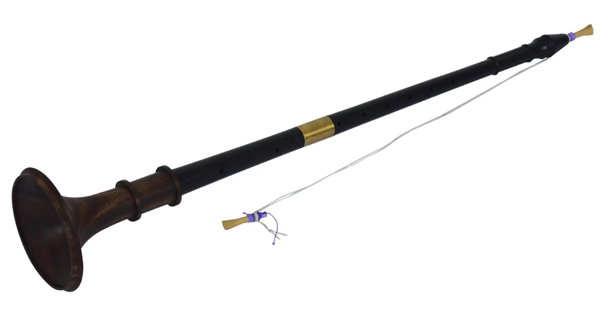 Best Wind Instruments for Students Chennai