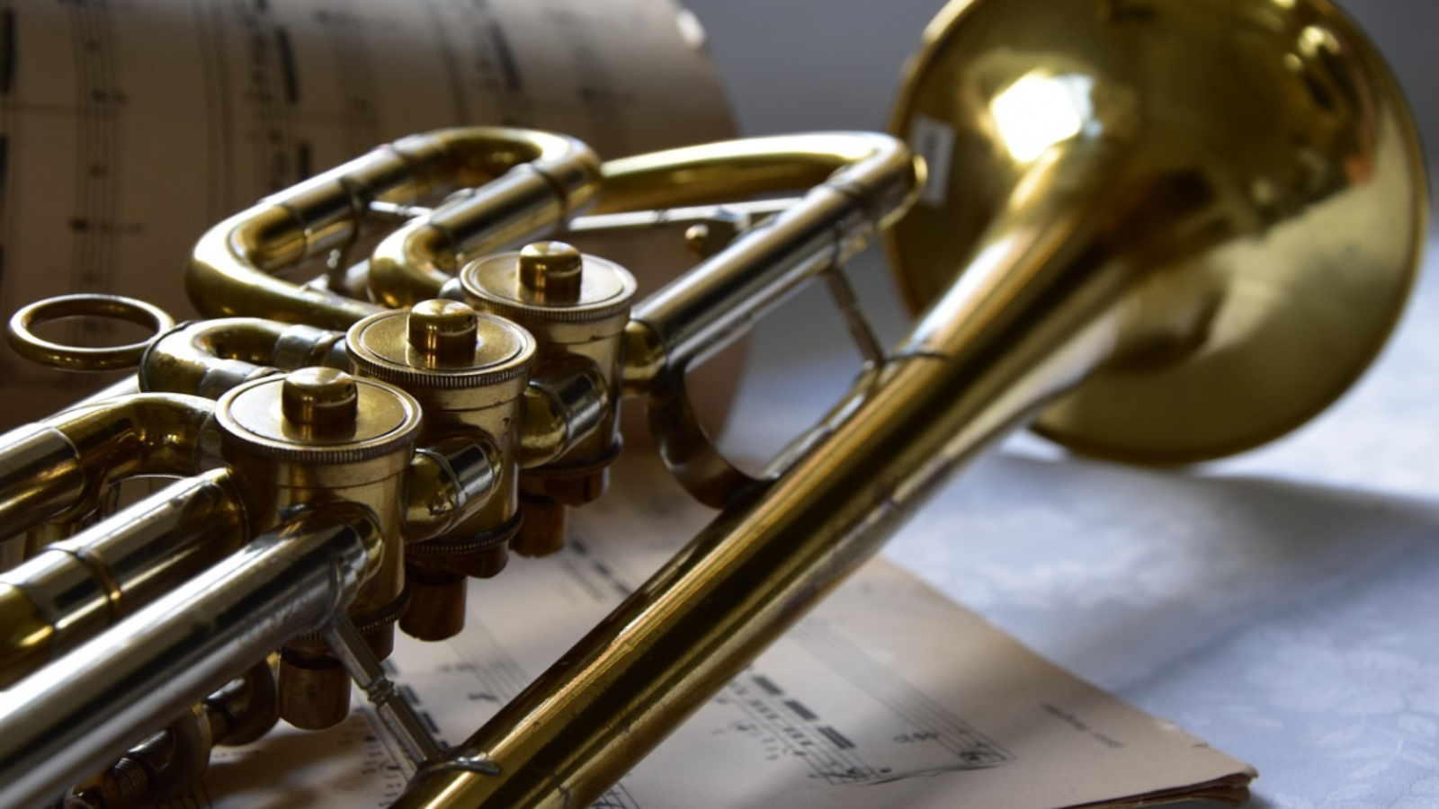Choose the right Wind Instrument for School 2
