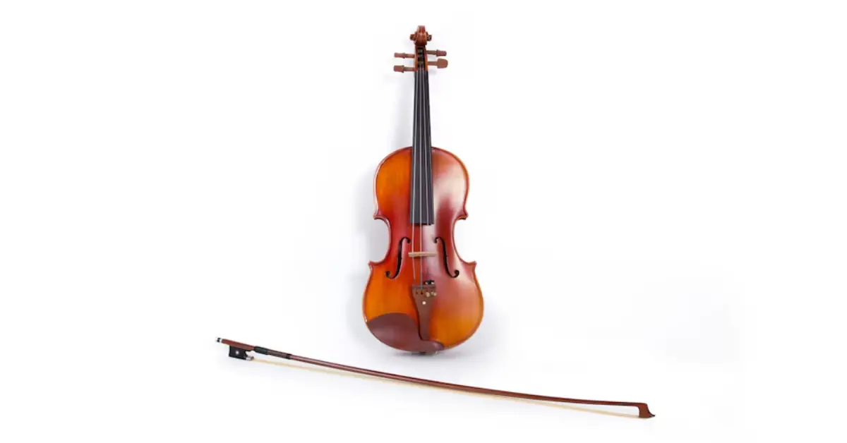 High Quality Violin Bow Investment