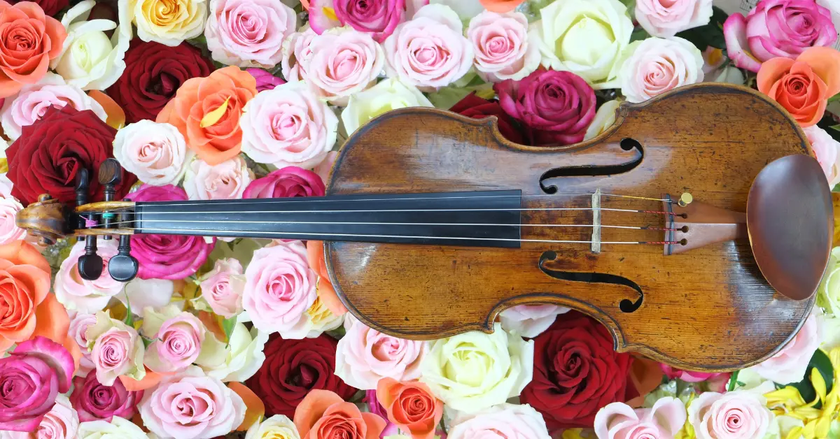How to Care for Your Violin