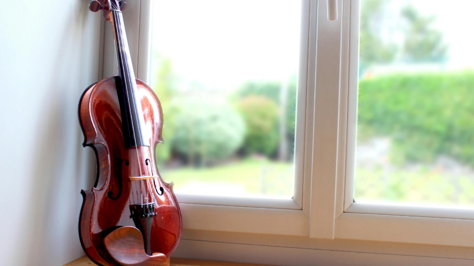 How to Care for Your Violin4