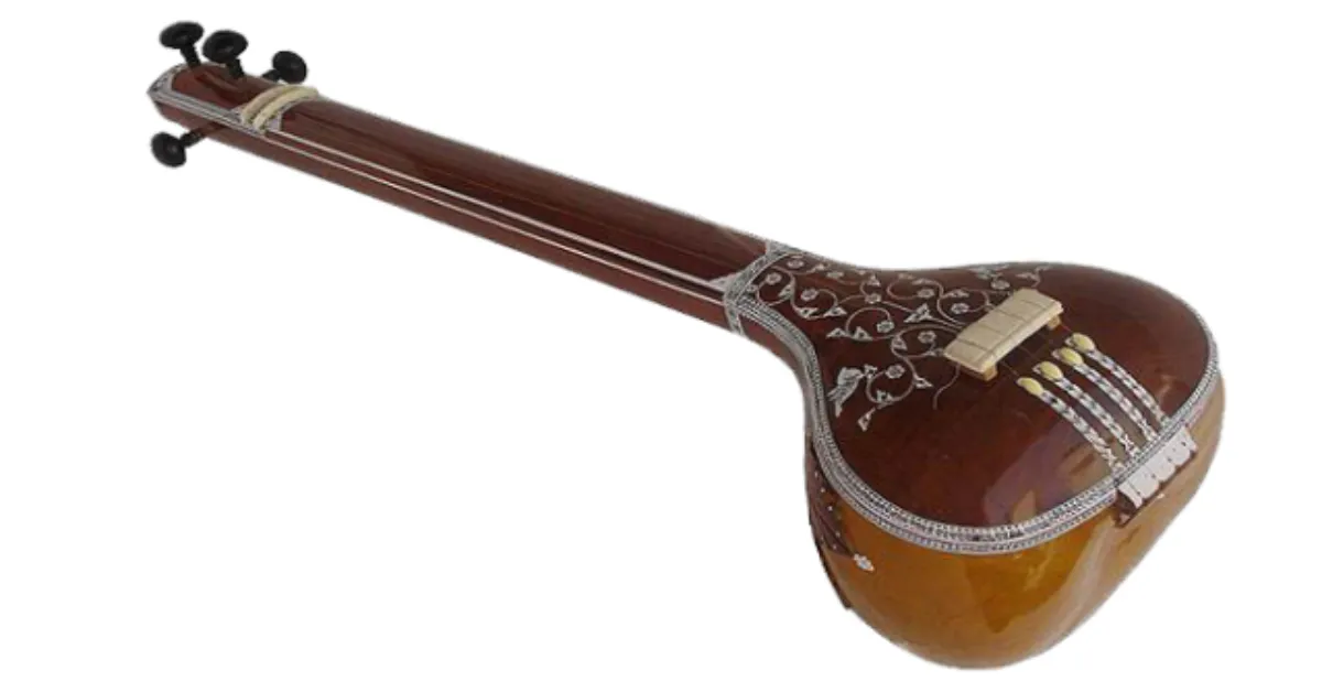 How to Play the Tambura 2