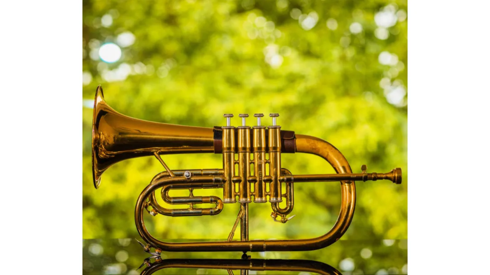 Top Tips for Playing the Trumpet Like a Pro