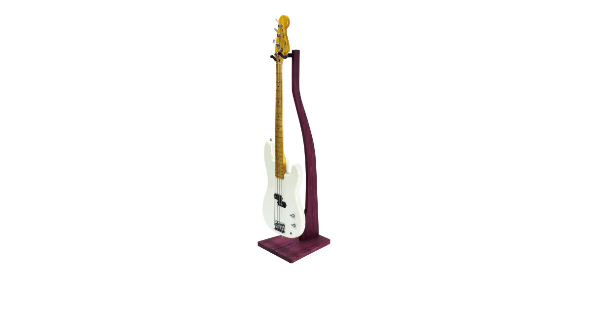 best accessories for bass guitars 4