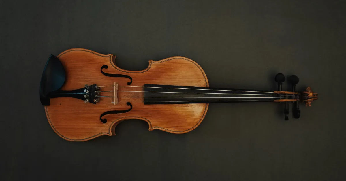 best instruments for solo musicians 5