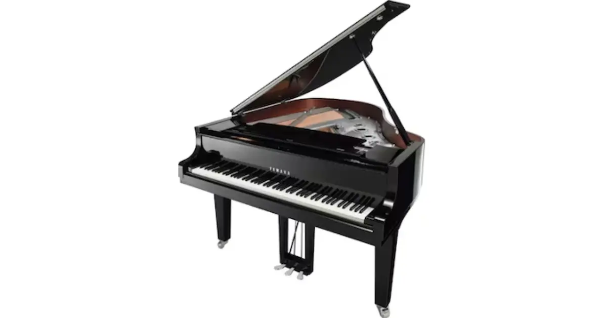 choose between grand and upright piano 2