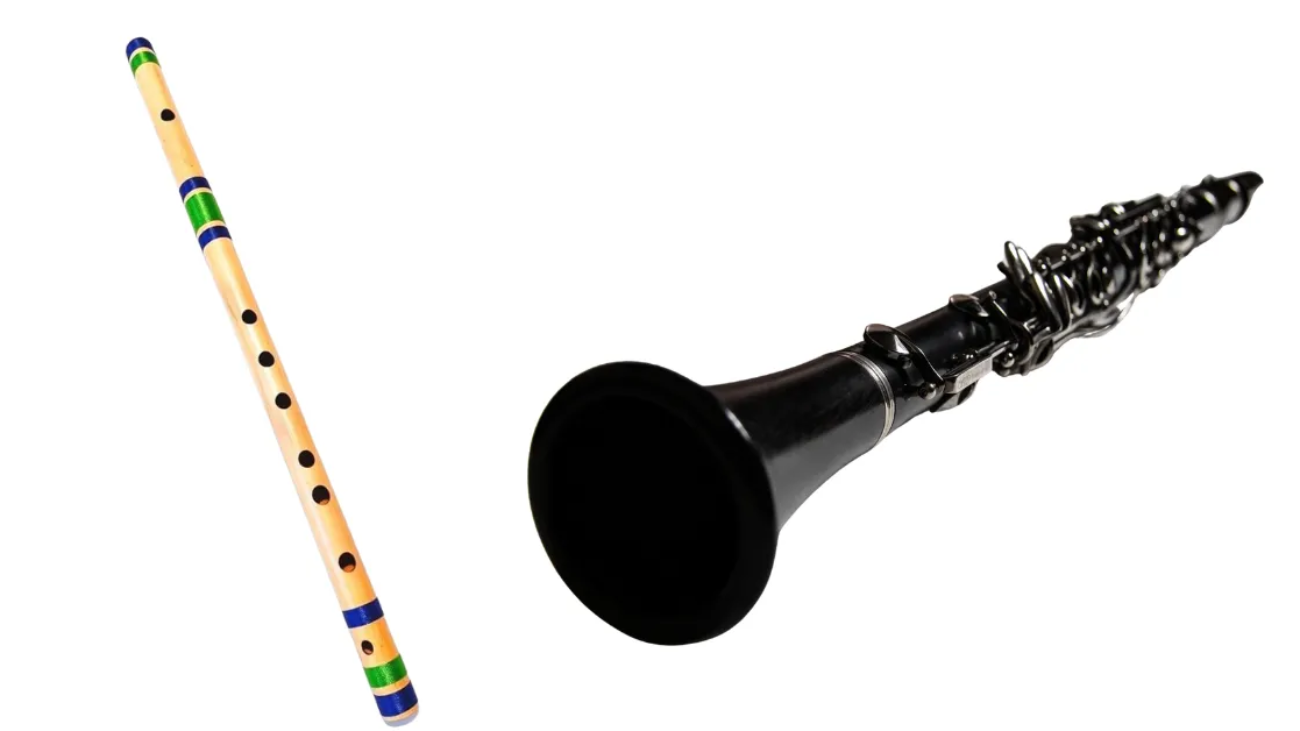 Flute vs Clarinet for Beginners.
